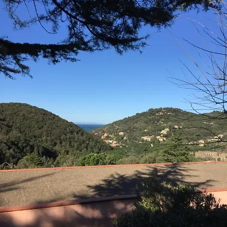 Conchiglia * Sant'Anna (Isola d'Elba)
