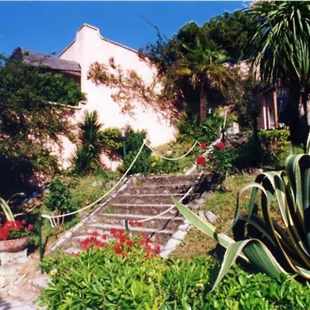 Conchiglia * Sant'Anna (Isola d'Elba)